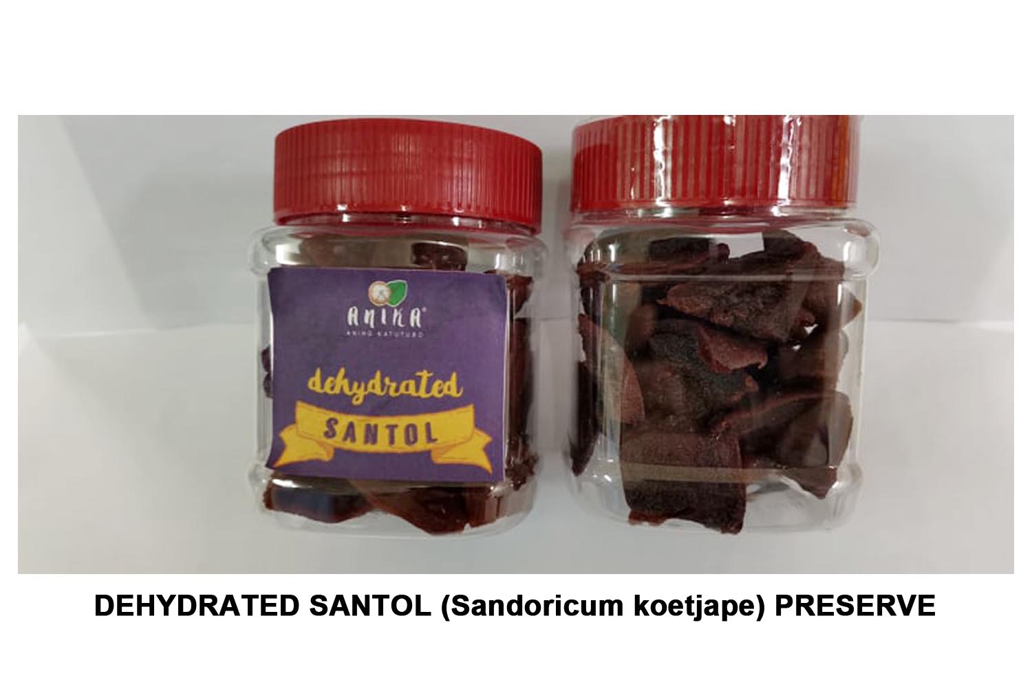 santol seeds benefits